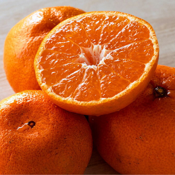 【ふるさと納税】 羽賀農園の温州みかん 10kg みかん 蜜柑 ミカン 柑橘 果物 フルーツ 果実 柑橘類 甘い 酸っぱい ジューシー ビタミンC 和歌山 愛媛 四国 特産品 産地直送 農家 旬 季節 冬 贈り物 ギフト 贈答 お歳暮 おやつ デザート 宿毛市 高知県 20000円