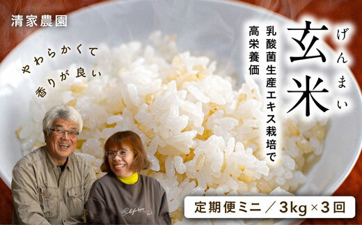 [定期便ミニ]酵素が3.9倍!「乳酸菌生産エキス栽培」玄米3kg×3回お届け