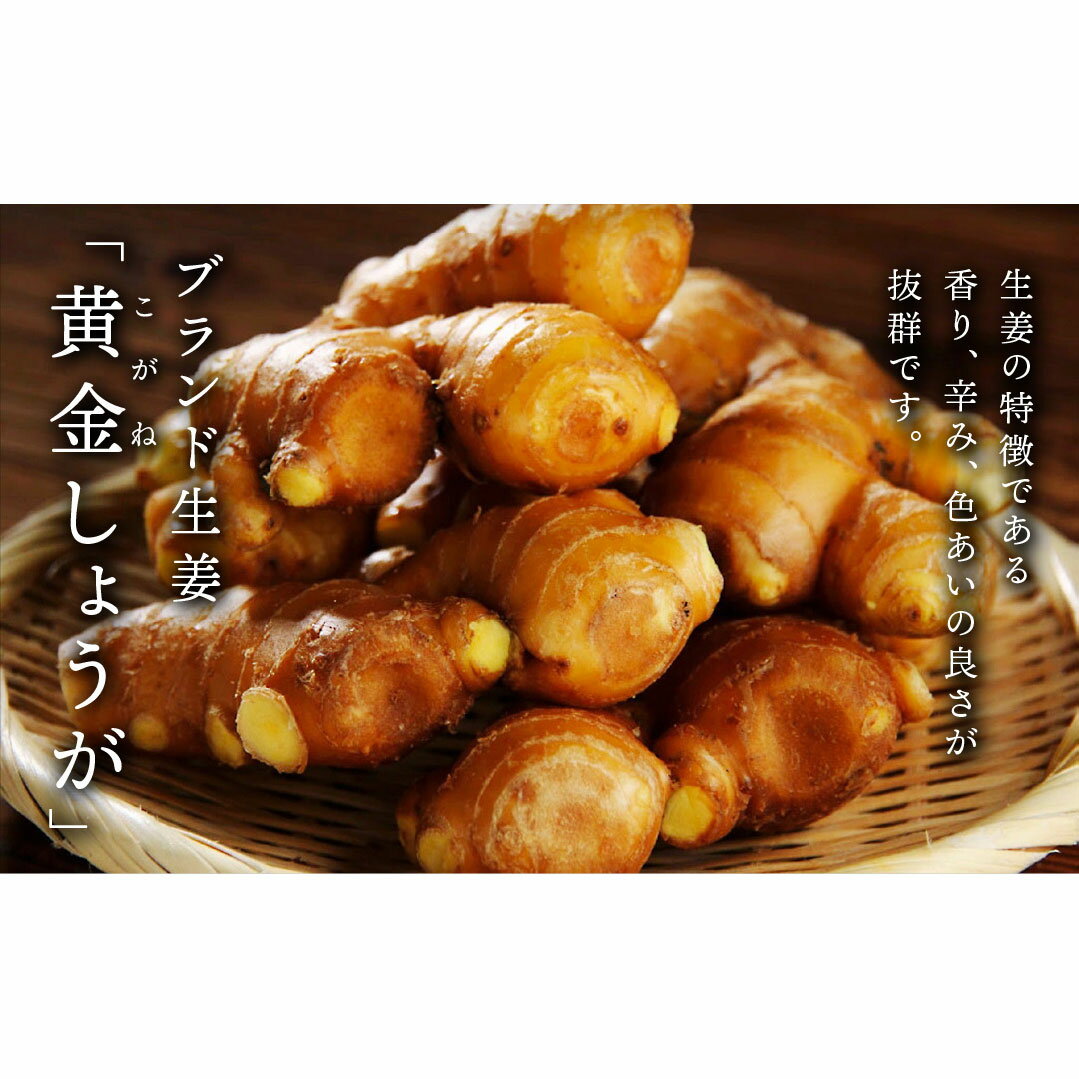 【ふるさと納税】高知県産 黄金しょうが 4kg
