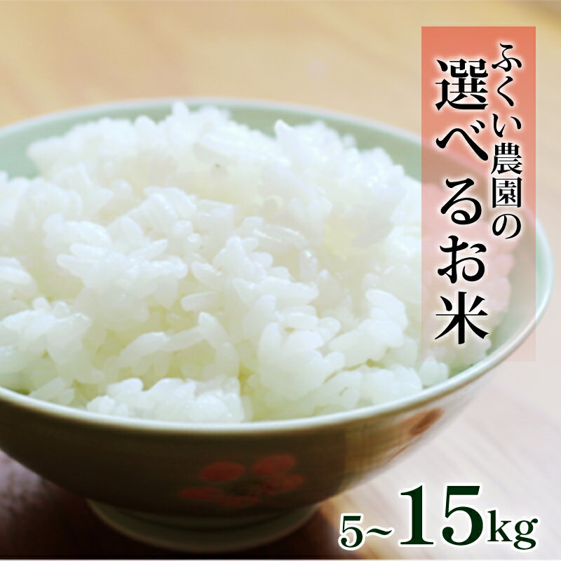 【ふるさと納税】 令和7年産 新米 コシヒカリ15kg 10kg 5kg ヒノヒカリ 米 ふるさと納税 お米 ふるさと納税米 ふるさと 米 5kg ふるさと納税...