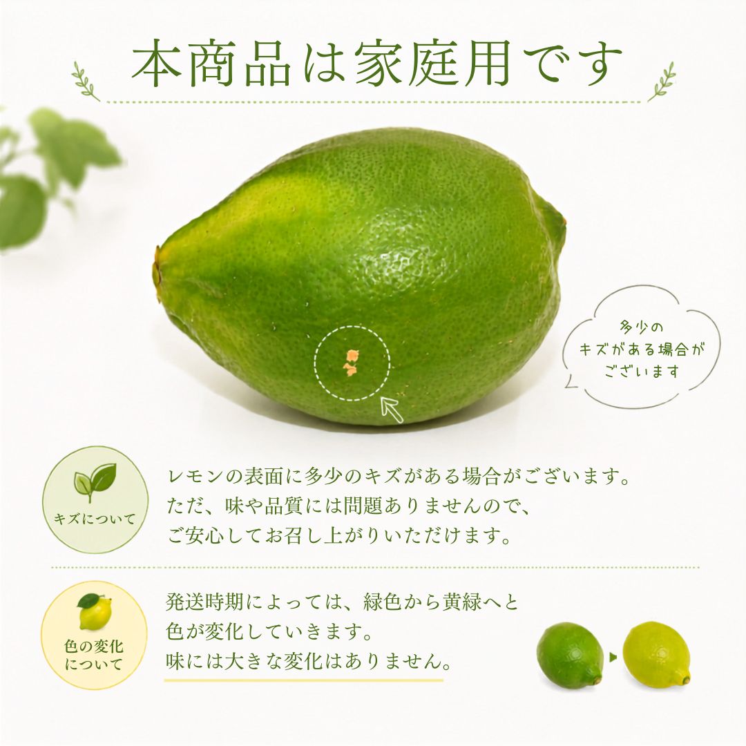 【ふるさと納税】 なるた果樹園 家庭用 グリーンレモン 3kg レモン 国産 柑橘 フルーツ 果物 青レモン 皮ごと 生レモン ジュース ビタミンC 酸味 爽やか 果汁 有機栽培 産地直送 旬 季節 贈り物 ギフト 宿毛市 高知県 f392081-sukumo-10000895 高知県宿毛市 サンプル画像2