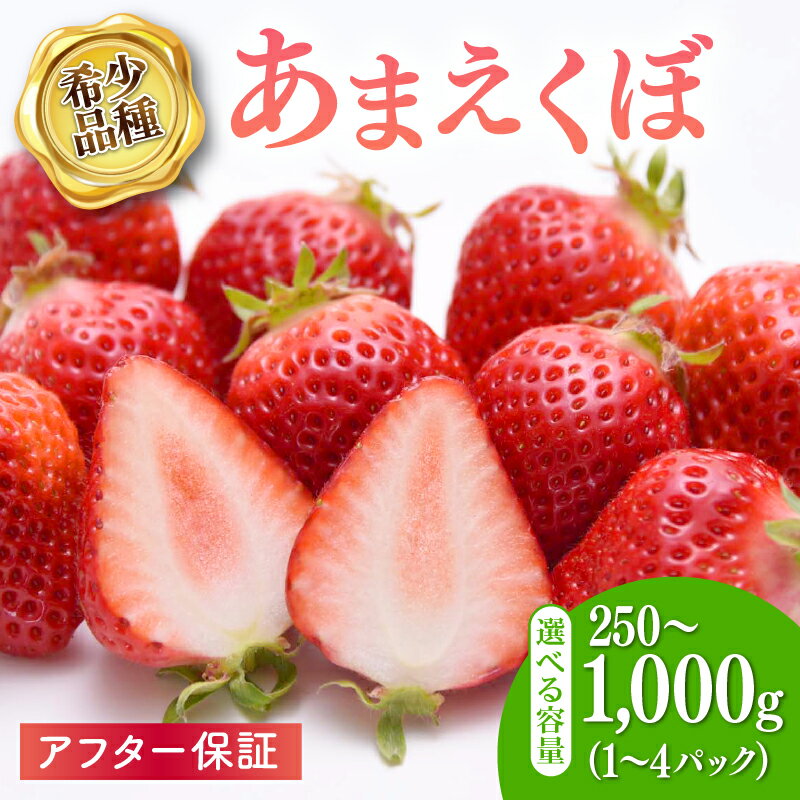 【ふるさと納税】 【2026年1-3月発送】いちご アフター保証 選べる 容量 いちご 250g ~1kg 新鮮 冷蔵 イチゴ 小分け 苺 果物 スイーツ 数量限定 期間限定 あまえくぼ 希少品種 贈答 ギフト プレゼント 1月より順次発送 高知県 宿毛市