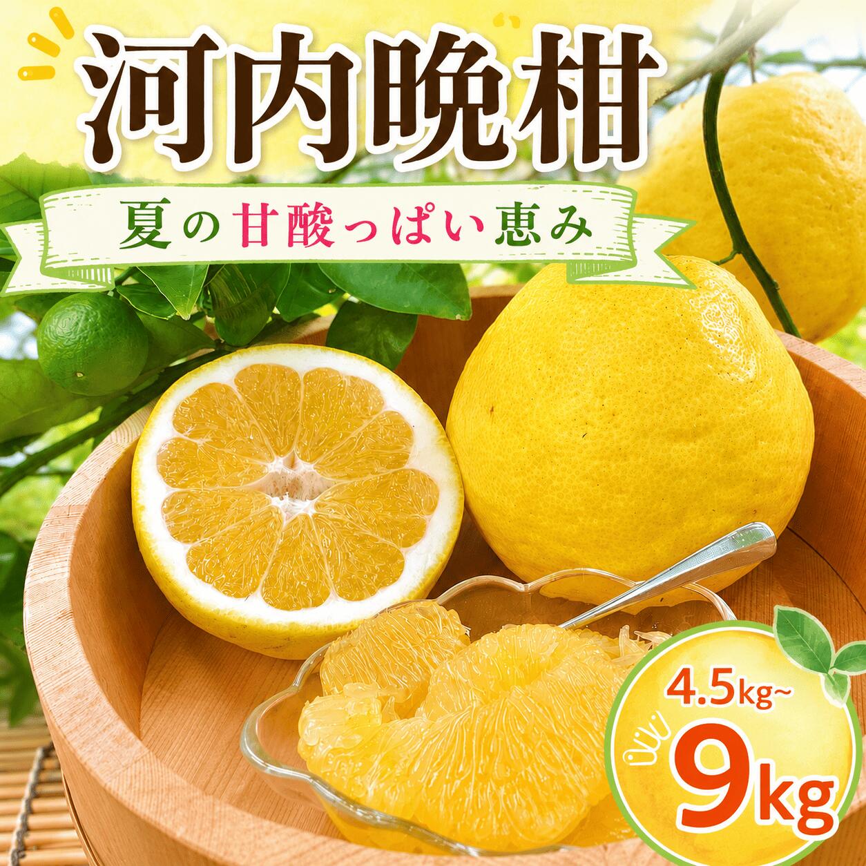 【ふるさと納税】訳あり 河内晩柑 選べる 容量 約4.5kg / 約9kg 不揃い 龍馬がゆく 園芸 柑橘 フルーツ みかん 果物 ジュース 坂本龍馬 土佐 特産品 果汁 ビタミンC 産地直送 旬 季節限定 贈答用 ギフト 家庭用 お取り寄せ グルメ 国産 甘い 宿毛市 高知県