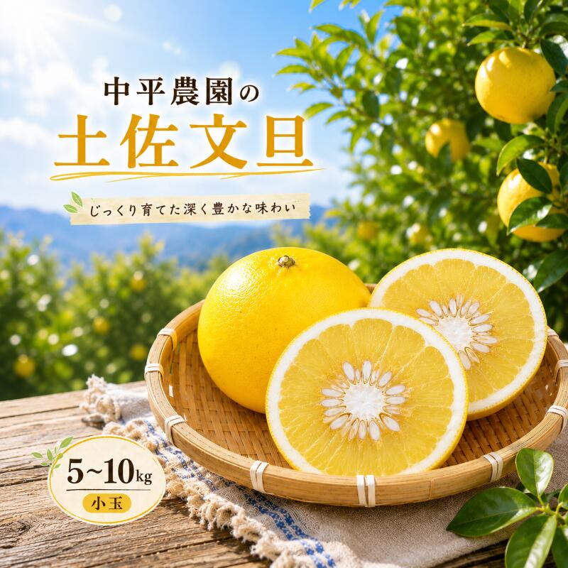 土佐文旦 5kg 10kg 家庭用 文旦 ぶんたん ブンタン 柑橘類 果物 フルーツ 高知県産 特産品 みかん 柚子 旬 冬 ギフト 贈り物 お歳暮 お取り寄せ 産地直送 果汁 ビタミンC 健康 美容 和菓子 デザート 中平農園 宿毛市 高知県