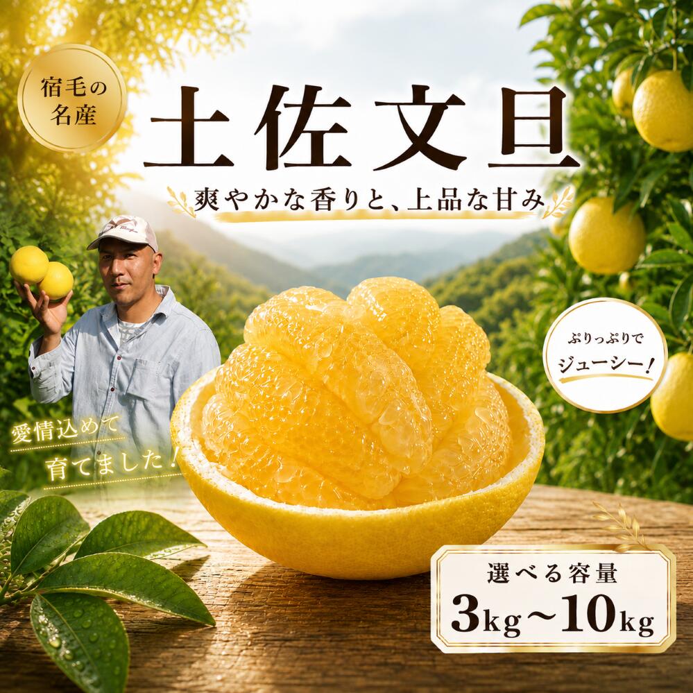 追熟 土佐文旦 10kg 贈答用 吉村農園 柑橘 果物 フルーツ 文旦 ぶんたん ブンタン 高知県産 特産品 名産品 旬 ジューシー 甘酸っぱい さっぱり 果汁 ビタミンC 贈り物 ギフト プレゼント 贈り物 人気 誕生日 贅沢 産地直送 農園直送 宿毛市 高知県 22000円