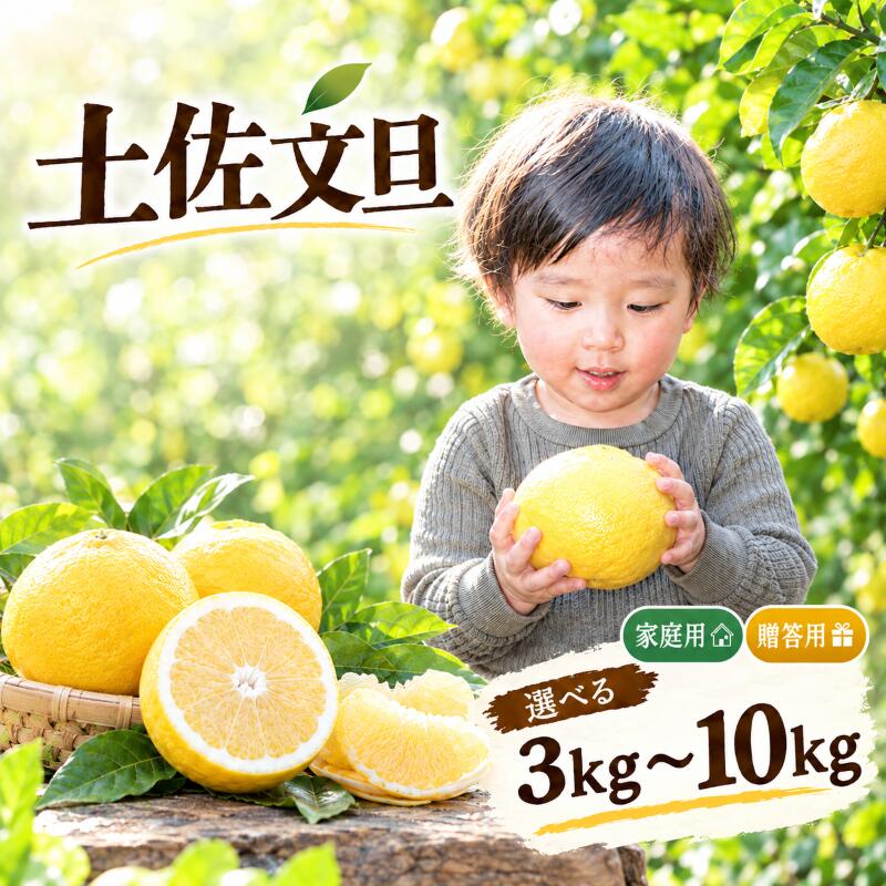 小野果樹園 文旦 家庭用 10kg 5kg 3kg 柑橘 果物 フルーツ みかん 贈答 ギフト 贈り物 プレゼント お歳暮 お中元 国産 高知県産 特産品 旬 季節 冬 甘い 酸味 爽やか 健康 ビタミンC 果汁 皮 美容 ダイエット 新鮮 産地直送 宿毛市 高知県 10,000円