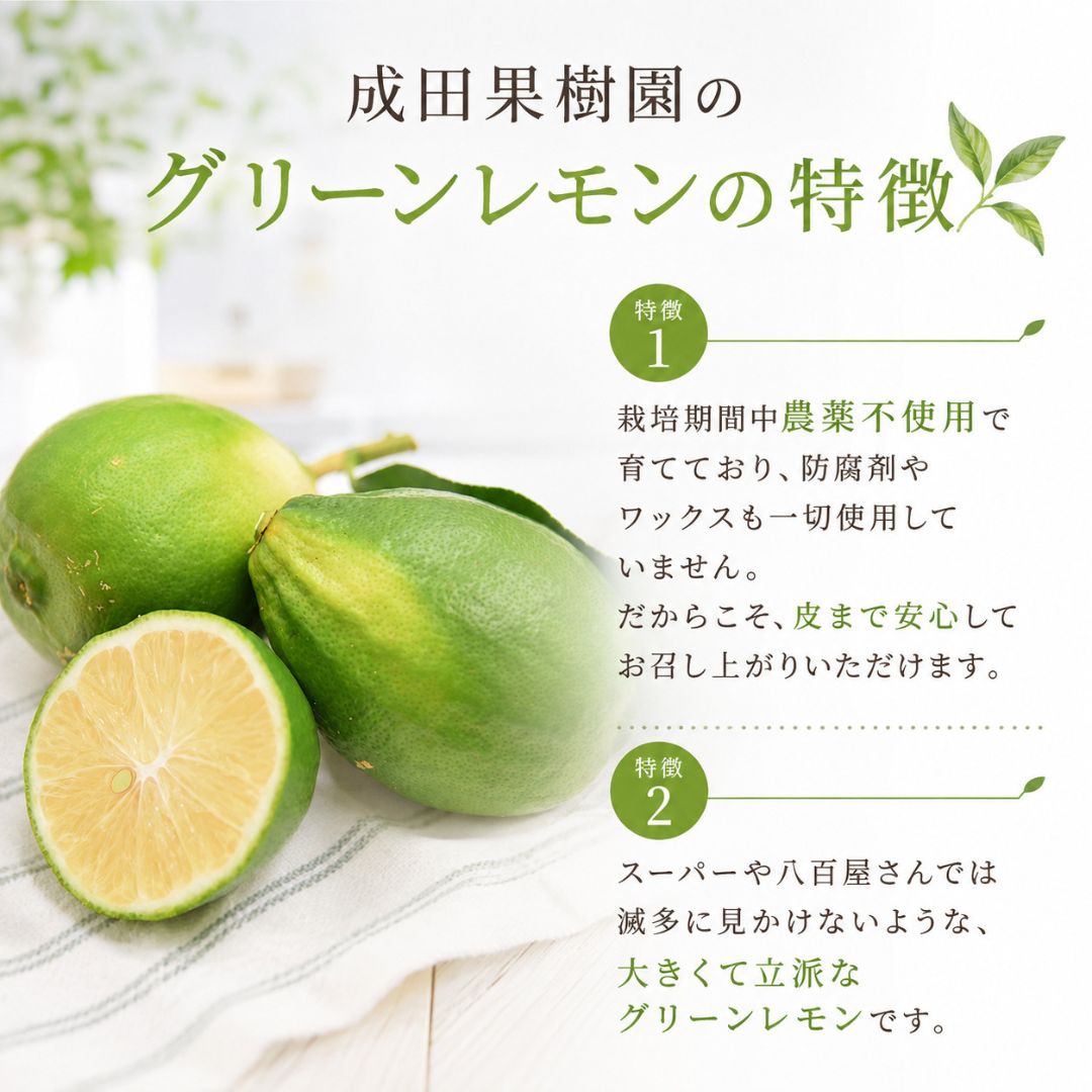 【ふるさと納税】 なるた果樹園 家庭用 グリーンレモン 3kg レモン 国産 柑橘 フルーツ 果物 青レモン 皮ごと 生レモン ジュース ビタミンC 酸味 爽やか 果汁 有機栽培 産地直送 旬 季節 贈り物 ギフト 宿毛市 高知県 f392081-sukumo-10000895 高知県宿毛市 サンプル画像3