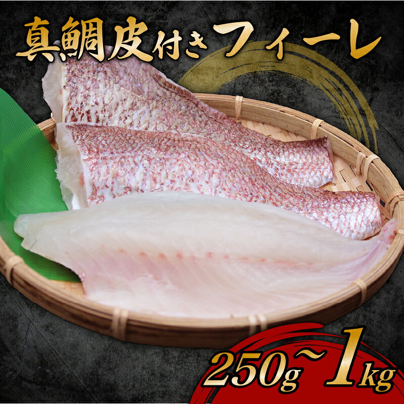 【ふるさと納税】鯛 フィーレ 約250g~1kg 選べる 半身 1尾 2尾 容量 皮つき 皮あり 真鯛未来 刺身 新鮮 海鮮 鯛しゃぶ 鯛めし 鍋 お食い初め 鯛茶漬け カルパッチョ タタキ 炙り 塩焼き 煮込み 料理 10,000円 Dritto.One株式会社 宿毛市 高知県 f392081-sukumo-10001555 高知県宿毛市 パッケージ画像