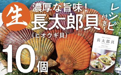 『先行予約』ヒオウギ貝10個セット（ホタテの仲間）長太郎貝 アウトドア キャンプ 海鮮BBQ 魚貝 刺身 生 貝殻付 活 貝柱 酒蒸し バーベキュー BBQ 貝 海 ふるさとのうぜい 故郷納税 高知県 土佐清水市 返礼品【R00082】