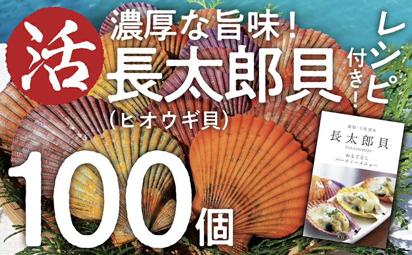 【ふるさと納税】『先行予約』生け簀でお届けヒオウギ貝100個セットエアポンプ付（ホタテの仲間）長太郎貝 アウトドア キャンプ 海鮮BBQ 魚貝 刺身 生 貝殻付 活 貝柱 酒蒸し バーベキューBBQ 大容量 大量 故郷納税 ふるさとのうぜい 高知県 土佐清水市 送料無料【R00679】