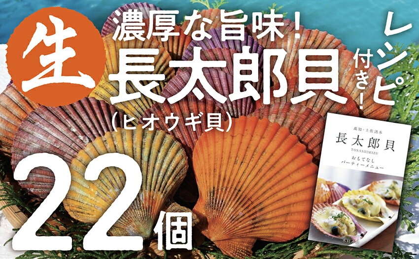 『先行予約』ヒオウギ貝22個セット（ホタテの仲間）長太郎貝 アウトドア キャンプ 海鮮BBQ 魚貝 刺身 生 貝殻付 活 貝柱 酒蒸し バーベキュー BBQ 貝 海 ふるさとのうぜい 故郷納税 高知県 土佐清水市 返礼品【R00343】