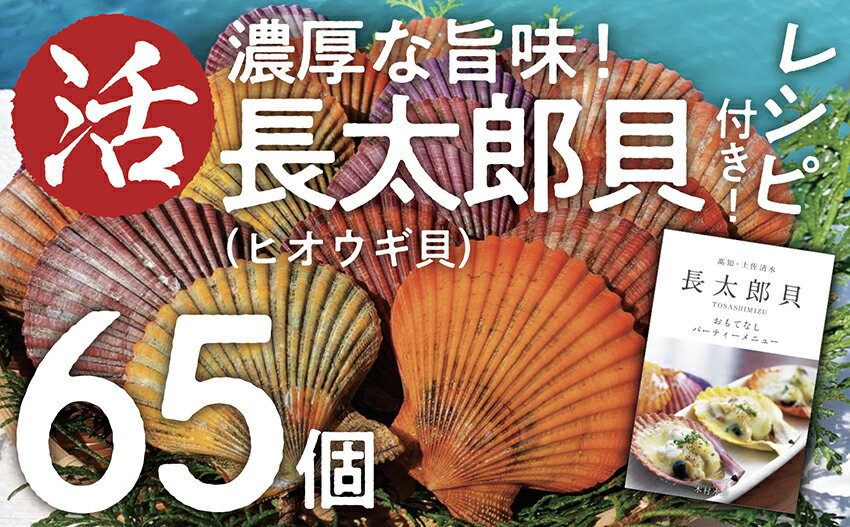 【ふるさと納税】『先行予約』生け簀でお届けヒオウギ貝65個セット エアポンプ付（ホタテの仲間）長太郎貝 アウトドア キャンプ 海鮮BBQ 魚貝 刺身 生 貝殻付 活 貝柱 酒蒸し バーベキュー BBQ 貝 海鮮 大量 大容量 ふるさとのうぜい 故郷納税【R00646】