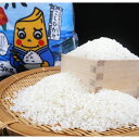 【ふるさと納税】【Y-1】あしずり黒潮米20kg(5kg×4