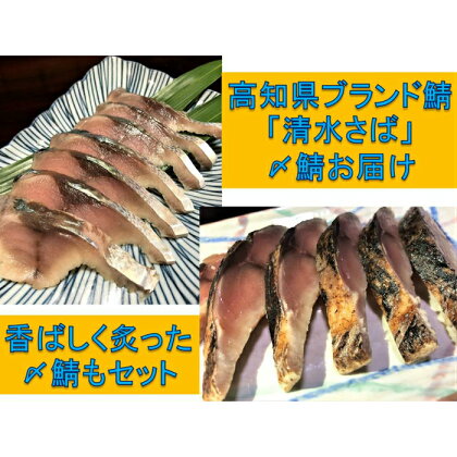 土佐の清水さば獲れたて〆鯖2枚炙り1枚セット