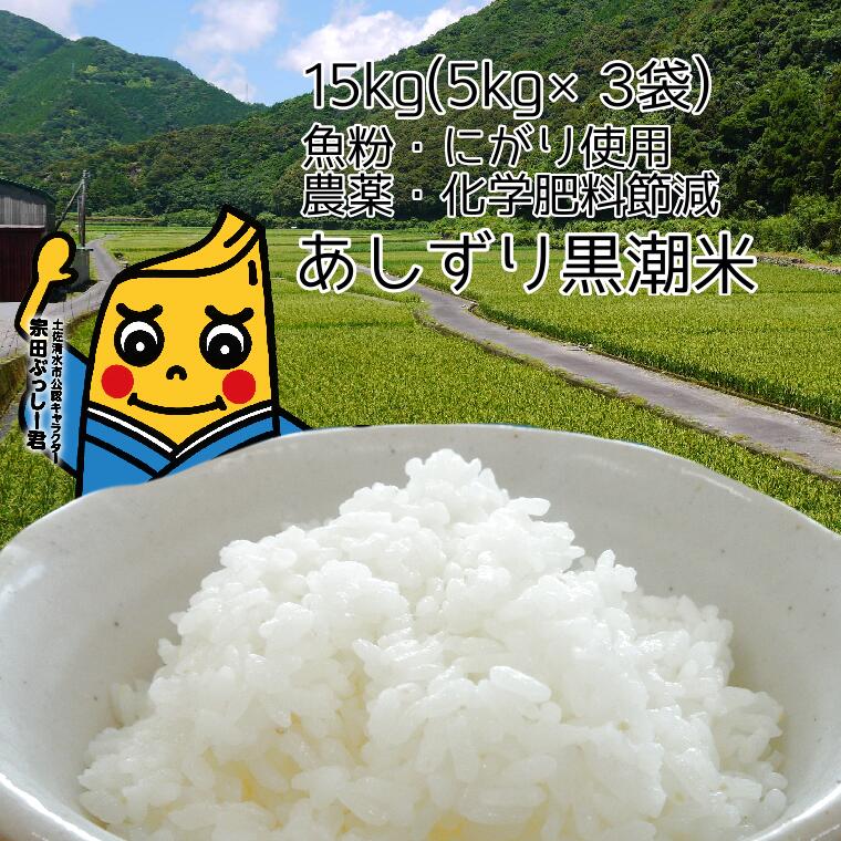 【ふるさと納税】令和5年産 あしずり黒潮米15kg（5kg×3袋）【コシヒカリ】精米 新米 白米 こめ コメ おコメ こしひかり ブランド米 15キロ ご飯 おにぎり 弁当 おいしい 美味しい 30000円 3万円 国産 送料無料 高知県 ギフト ふるさとのうぜい 故郷納税 返礼品【R00607】