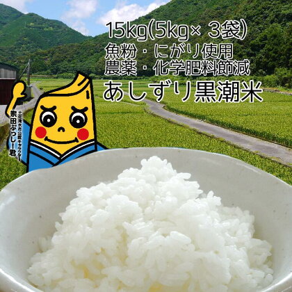 令和5年産 あしずり黒潮米15kg（5kg×3袋）【コシヒカリ】精米 新米 白米 こめ コメ おコメ こしひかり ブランド米 15キロ ご飯 おにぎり 弁当 おいしい 美味しい 30000円 3万円 国産 送料無料 高知県 ギフト ふるさとのうぜい 故郷納税 返礼品【R00607】