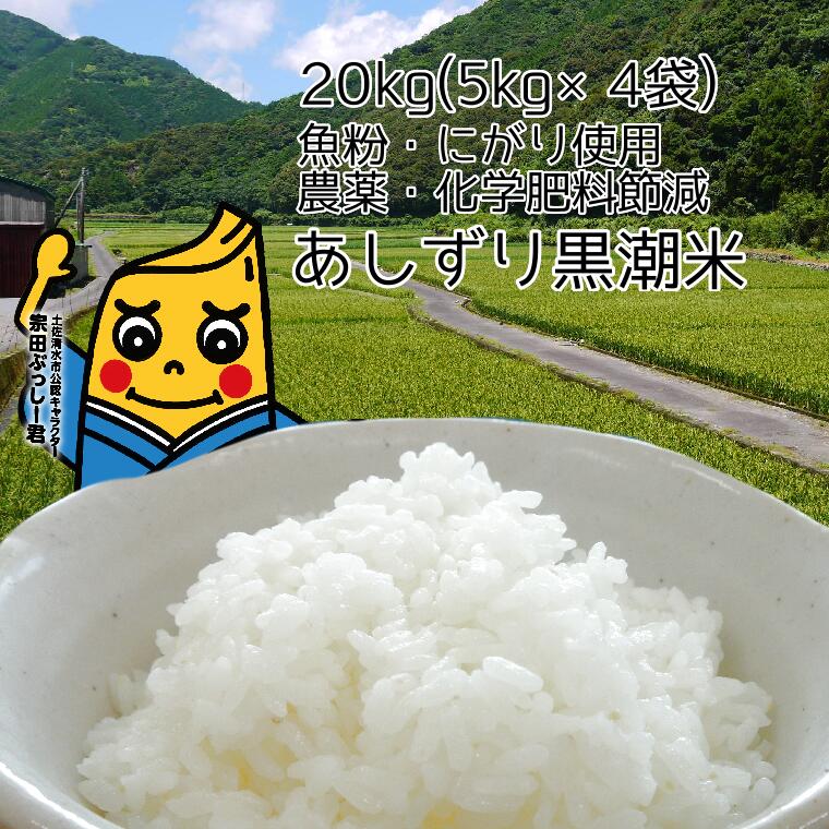 令和5年産 あしずり黒潮米20kg（5kg×4袋）10キログラム 【コシヒカリ】 こしひかり 精米 白米 ブランド米 銘柄米 お米 おコメ 米 こめ ご飯 ごはん おにぎり おいしい 美味しい ギフト 高知県 高知 土佐清水 故郷納税 ふるさとのうぜい 返礼品【R00650】