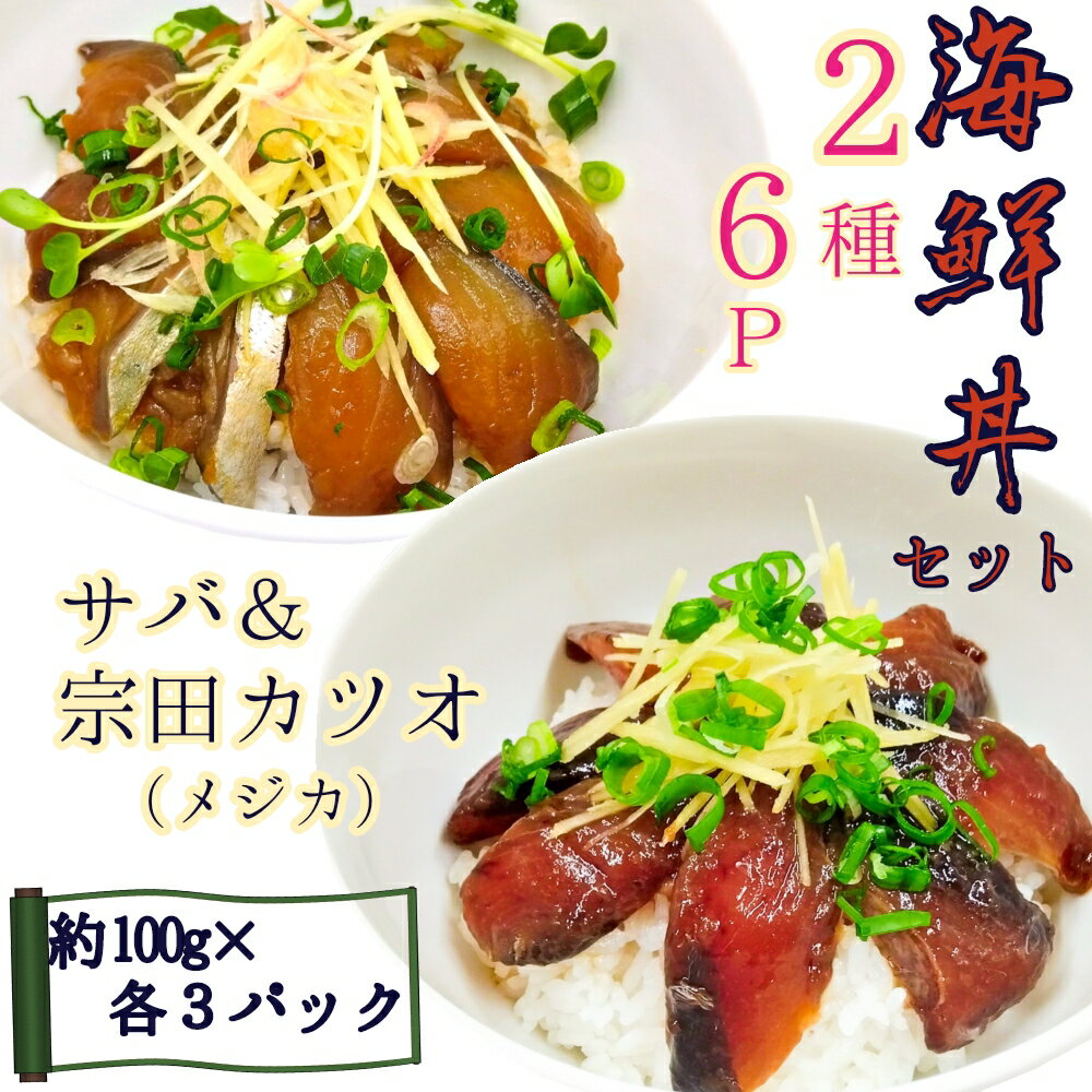 【ふるさと納税】海鮮漬け丼6パック 2魚種 サバ＆メジカ（宗