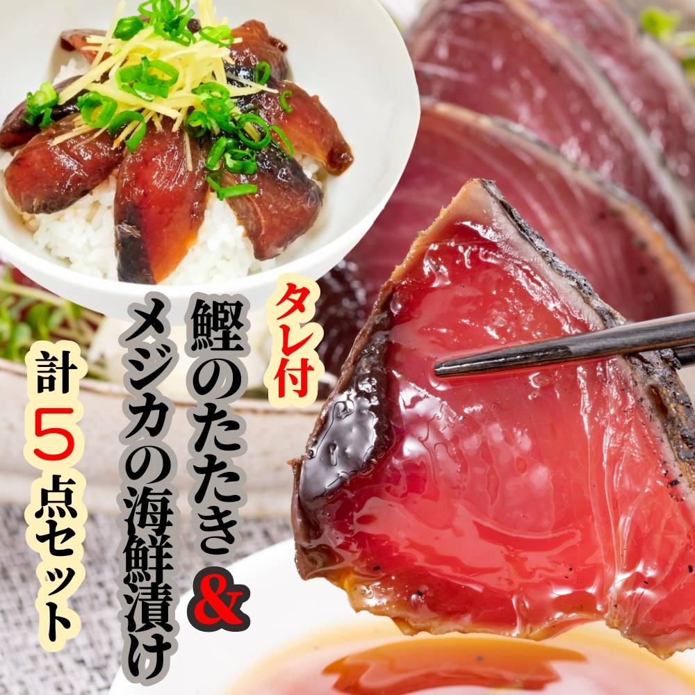 カツオのたたき1節 + メジカ(宗田カツオ)の海鮮漬け丼 約100g×2パック タレ付き5点セット 鰹 タタキ 冷凍 刺身 お刺身 海鮮丼 惣菜 寿司ネタ 宗田鰹 マルソウダ サバ科 高知[R00893]