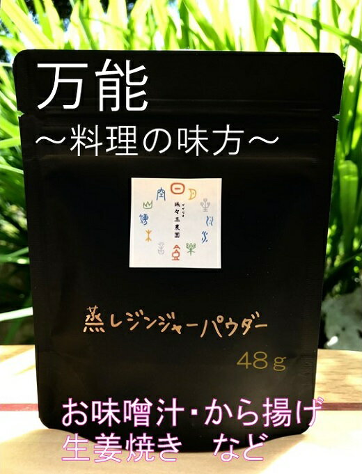 【ふるさと納税】蒸し生姜パウダー1袋（48g）料理・ジンジャーティー・隠し味など/自然農～全工程手作業【J-41】