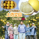 【ふるさと納税】R8 先行予約 早川農園の土佐文旦(10kg) 柑橘 フルーツ みかん ミカン 果物 果実 10キロ ザボン ぶんたん ブンタン おやつ デザー...