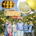 【ふるさと納税】R8 先行予約 訳あり 早川農園 土佐文旦 5kg 文旦 旬 柑橘 フルーツ みかん ザボン ぶんたん ブンタン 果実 果物 くだもの フルーツ...