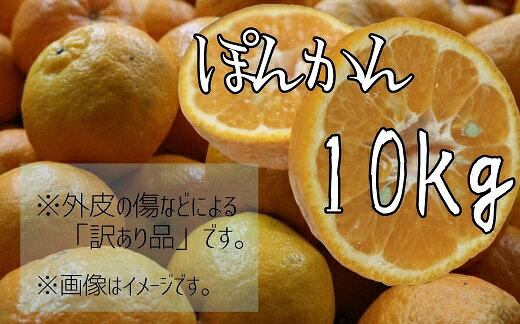 【ふるさと納税】早川農園の訳ありぽんかん10kg（家庭用）デコポンの親 みかん 柑橘 フルーツ【AF-38】