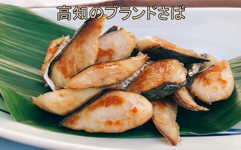 記事ID36780のサムネイル画像