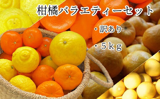 【ふるさと納税】訳あり柑橘バラエティーセット5kg【M-54】