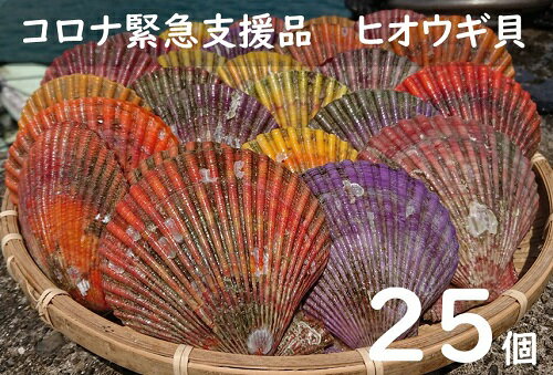 【ふるさと納税】コロナ緊急支援品：ヒオウギ貝（ホタテの仲間）25個入り【B-138】