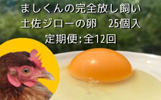 【ふるさと納税】定期便：土佐ジローの卵（25個入り×12回）【AL-4】