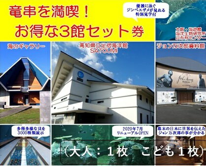 【ふるさと納税】水族館・資料館・展示館　ぐるっと竜串　お得な3館入場券セット（大人1名と子供1名）高知県土佐清水市 観光チケット 旅行券 トラベル【R00203】