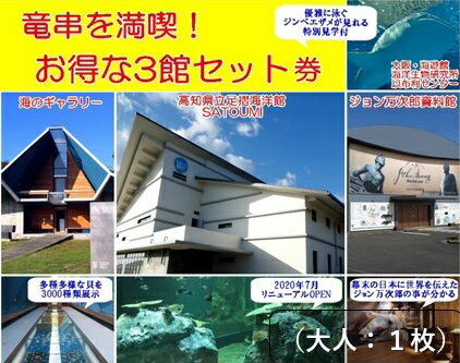 楽天高知県土佐清水市【ふるさと納税】水族館・資料館・展示館　ぐるっと竜串　お得な3館入場券セット（大人1名用）高知県土佐清水市 観光チケット 旅行券 トラベル 観光 高知 旅行 国内旅行 土佐清水市 高知県 高知 旅 観光地 観光プラン 入場券【R00107】