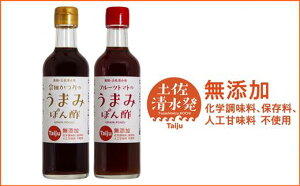 【ふるさと納税】無添加 宗田かつおのうまみぽん酢 2種セット（各300ml×1本）フルーツトマト味 サラダドレッシング 調味料 ドレッシング めんつゆ ポン酢 フルーツトマト ドレッシング 宗田節 無添加 おいしい 高知県 土佐清水市 送料無料【R00124】