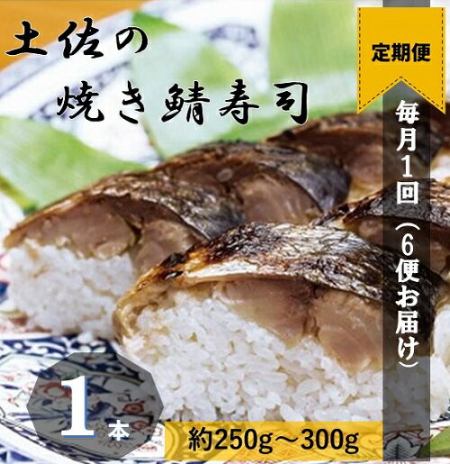 【ふるさと納税】【定期便】土佐の焼きサバ寿司（1本×6回発送）7切れ 総量約250g～300g 特選鯖寿司 惣菜 おかず【J00008】