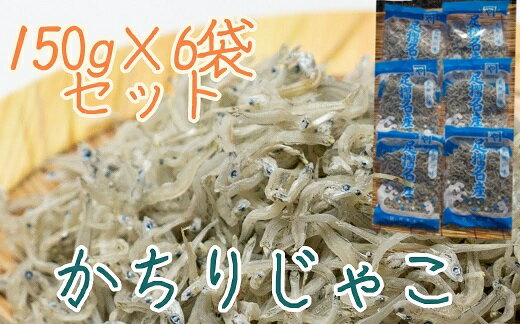 岡本水産加工のかちりじゃこ「特盛」(150g×6袋)冷凍便 シラス 無添加 釜揚げ しらす丼 ちりめん丼 かちりじゃこ じゃこ おじゃこ ごはんのお供 おかず 料理 冷凍配送 しらす ふるさとのうぜい 故郷納税 おすすめ[R00334]