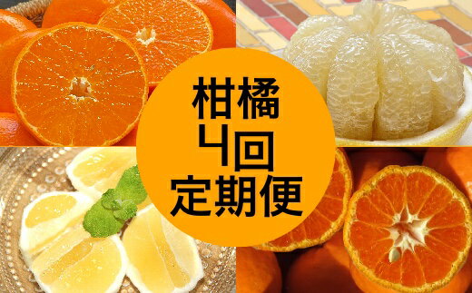 【ふるさと納税】先行予約 柑橘フルーツ4回定期便（ぽんかん3