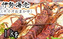 【ふるさと納税】伊勢海老1kg（サイズおまかせ高知県産）※着日指定不可※エビ 甲殻類 海鮮BBQ アウトドア キャンプ お祝い 先行予約【R00638】