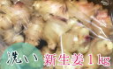 【ふるさと納税】【先行受付】 新生姜 無農薬 自然農 1kg(洗いショウガ)皮まで食べられる 甘酢漬け ガリ 農薬肥料不使用【R00248】