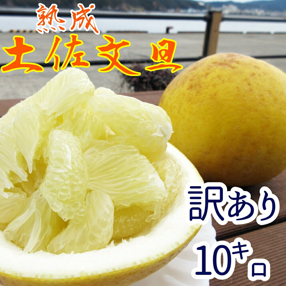 【訳あり】 先行予約 熟成 土佐文旦10キロ（柑橘 フルーツ みかん ザボン ） ミカン 果物 果実 10キロ ぶんたん ブンタン おやつ デザート 甘い 美味しい おいしい ご家庭用 名物 国産 高知県 高知 土佐清水 故郷納税 ふるさとのうぜい 返礼品【R00403】