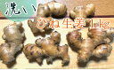 【ふるさと納税】【先行受付】自然農 ひね生姜1kg(洗いショウガ)親生姜 皮まで食べられる 甘酢漬け ガリ 農薬肥料不使用【R00249】