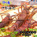 【ふるさと納税】冷凍伊勢海老1kg（サイズおまかせ）エビ 甲殻類 海鮮BBQ アウトドア キャンプ お祝い 送料無料【R00640】