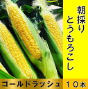 7位! 口コミ数「0件」評価「0」 朝採り直送スイートコーン 10本（3～3.5kg) 【2024年分先行予約】ゴールドラッシュ とうもろこし 黒潮の恵 産地直送 とうきび ･･･ 