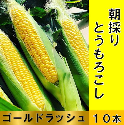 朝採り直送スイートコーン 10本（3～3.5kg) 【2024年分先行予約】ゴールドラッシュ とうもろこし 黒潮の恵 産地直送 とうきび 甘い 送料無料【R00880】