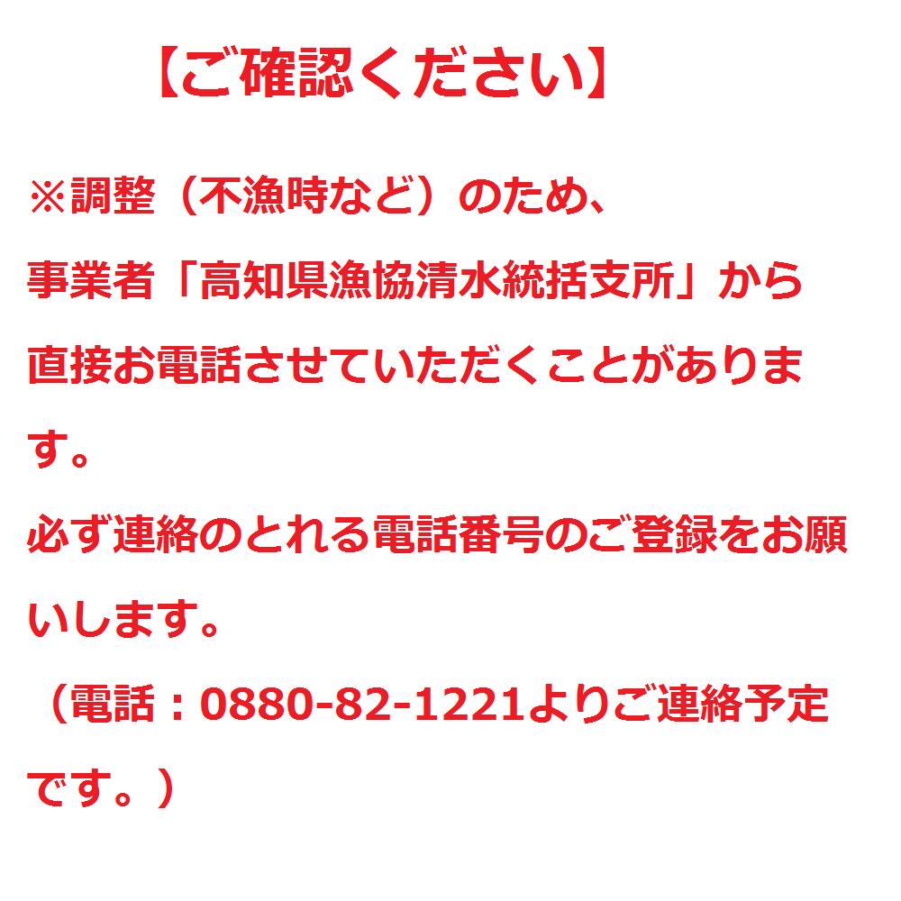 【ふるさと納税】天然伊勢海老1kg（サイズ・匹数おまかせ）甲殻類 エビ アウトドア キャンプ 海鮮BBQ えび エビ 伊勢えび イセエビ 刺身 お刺身 鍋 お味噌汁 グラタン 海鮮 魚介類 海の幸 故郷納税 高知県 土佐清水市 送料無料 高知【R00625】