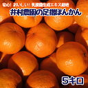 【ふるさと納税】R8.1月下旬発送 ご贈答◎ ギフト◎ 完熟 足摺ぽんかん 5kg デコポンの親 みかん 柑橘 果物 果実 ミカン ぽんかん ポンカン フルーツ おやつ デザート 5キロ 美味しい おいしい 国産 送料無料 高知 ギフト ふるさとのうぜい 故郷納税 返礼品【R01489】 【ふるさと納税】R8.1月下旬発送 ご贈答◎ ギフト◎ 完熟 足摺ぽんかん 5kg デコポンの親 みかん 柑橘 果物 果実 ミカン ぽんかん ポンカン フルーツ おやつ デザート 5キロ 美味しい おいしい 国産 送料無料 高知 ギフト ふるさとのうぜい 故郷納税 返礼品【R01489】