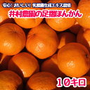 【ふるさと納税】令和8年1月下旬発送 井村農園の足摺ぽんかん(10kg)デコポンの親 みかん 柑橘 果物 果実 ミカン ポンカン フルーツ おやつ デザート 10キロ 美味しい おいしい 国産 送料無料 高知 高知県 ギフト ふるさとのうぜい 故郷納税 返礼品【R01133】