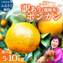 【ふるさと納税】R8.1月下旬発送 規格外だけど規格外じゃない!? 訳あり 足摺ぽんかん 5kg 10kg デコポンの親 みかん 柑橘 果物 果実 ミカン ポンカン フルーツ おやつ デザート 5キロ 美味しい 井村農園 高知県 土佐清水市 故郷納税 返礼品 高知 送料無料【R01485】