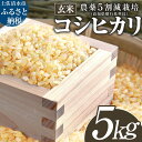 【ふるさと納税】 玄米 コシヒカリ 5kg 5キロ 先行予約 令和7年8月中旬以降順次発送予定 農薬5割減栽培 お米 おこめ 米 こめ ごはん 飯 こしひかり ...