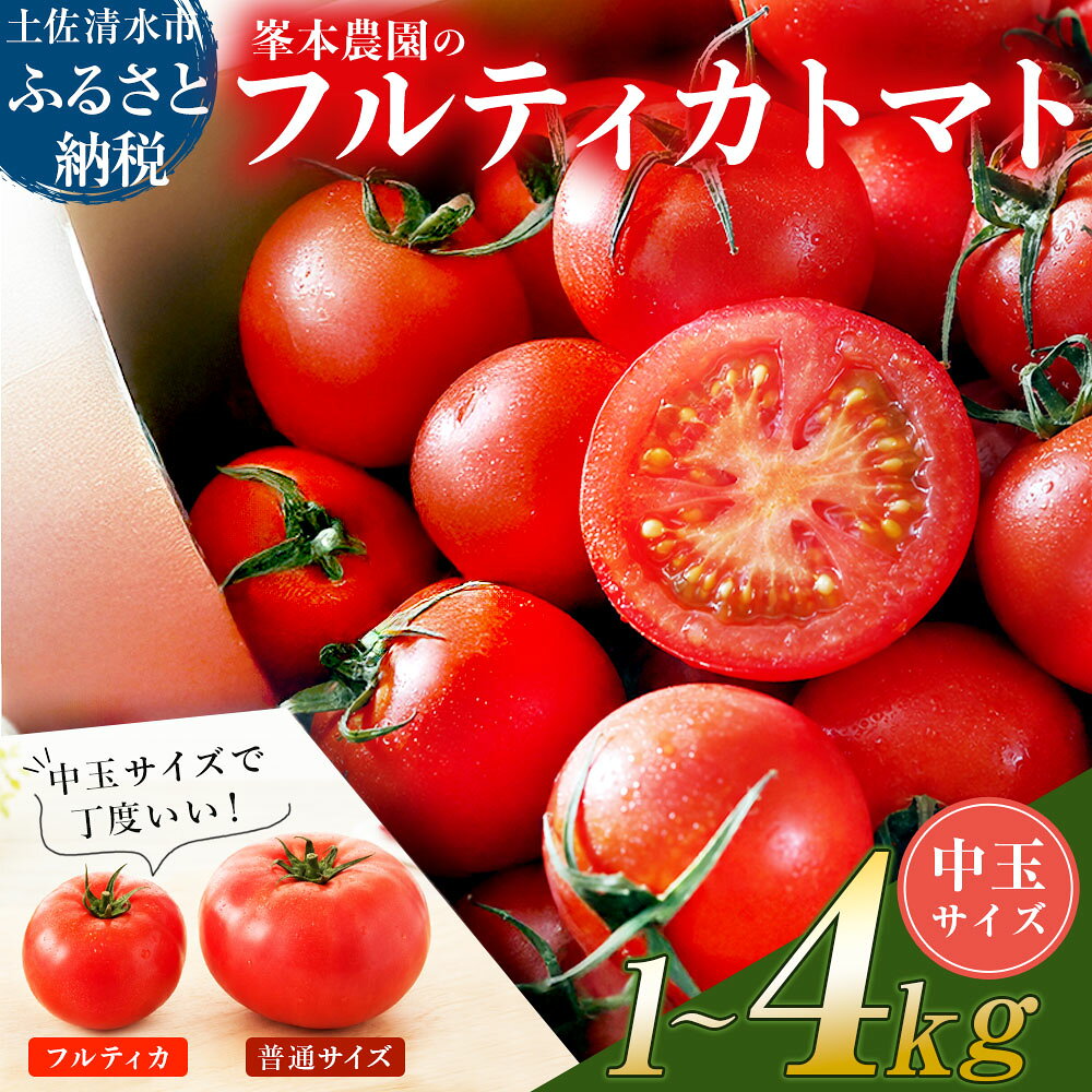 [11月発送]トマト 国産 中玉 サイズ 選べる 1kg 2kg 3kg 4kg ミディトマト フルティカ フルティカトマト 新鮮 野菜 夏野菜 産地直送 高知 トマトジュース 5000円ちょうど 8000円 12000円 15000円[R01031]